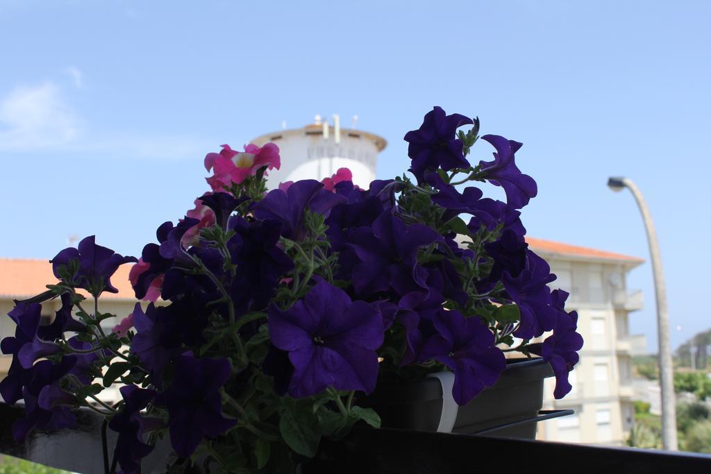 Hotel Nine Senses Furadouro Esterno foto